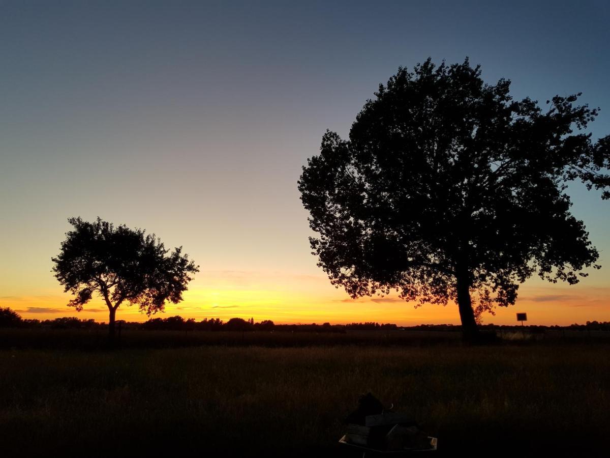 Fewo Abendrot Insel Poel Exteriör bild